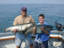 Two 35lb. Salmon